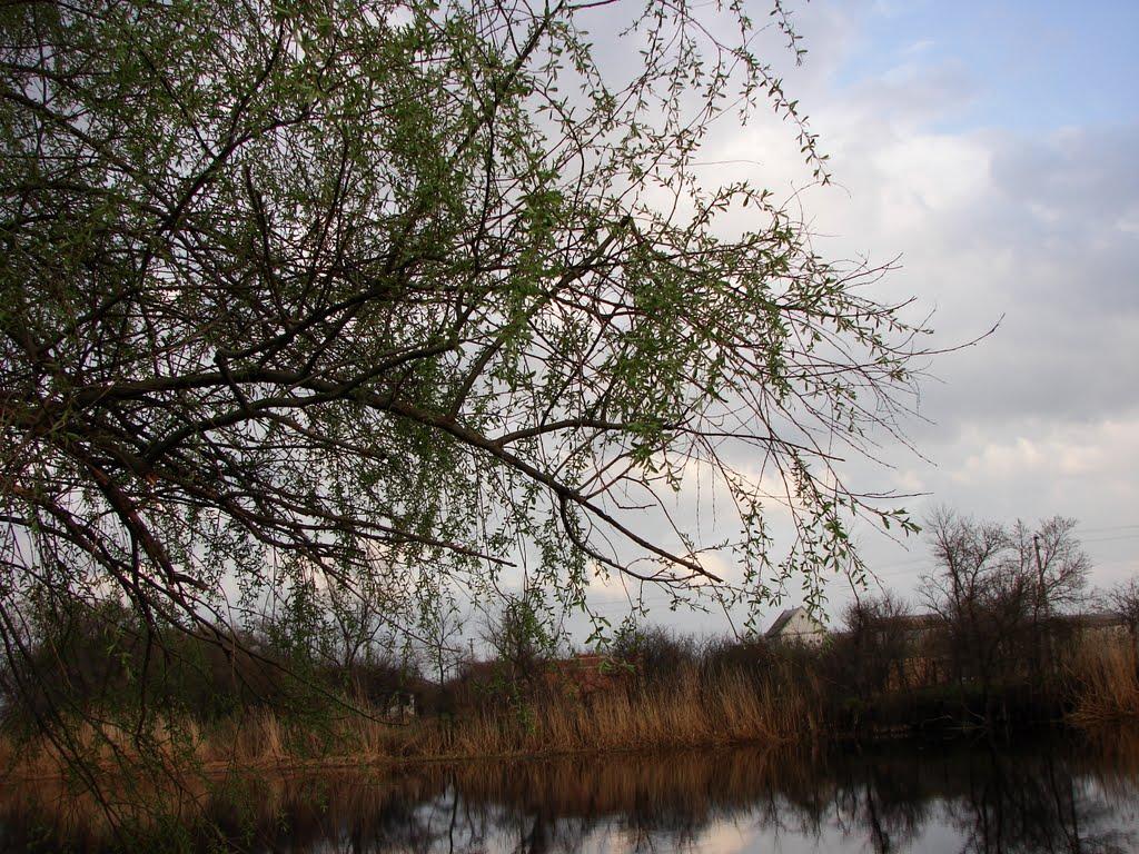 Перемога з panoramio.com - Перемога