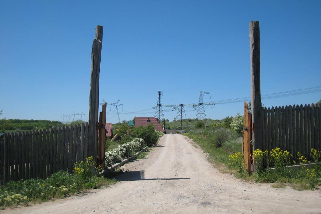 Птиче з panoramio.com - Птичье