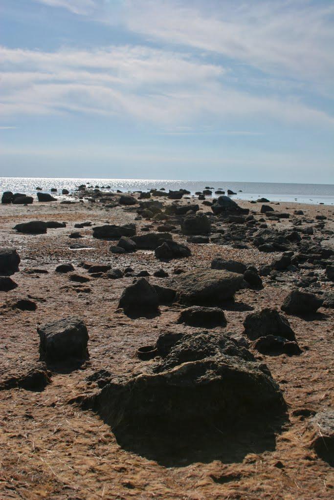 Львове з panoramio.com - Львове