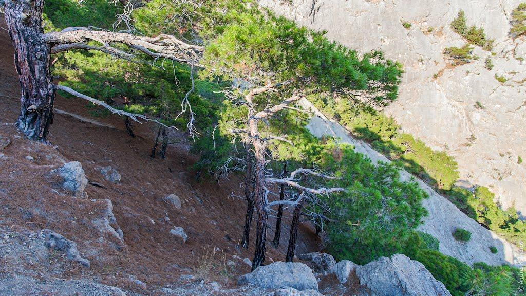 Резервне з panoramio.com (ч.4) - Резервное