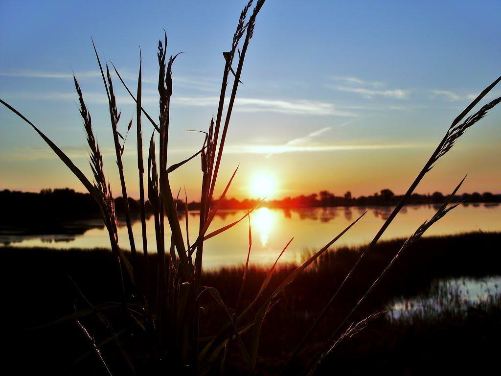 Рудники з panoramio.com - Рудники