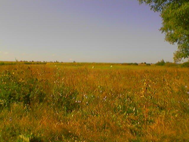 Дрімайлівка з panoramio.com - Дрімайлівка