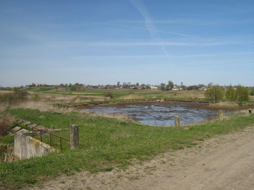 Рогізне з panoramio.com - Рогозное