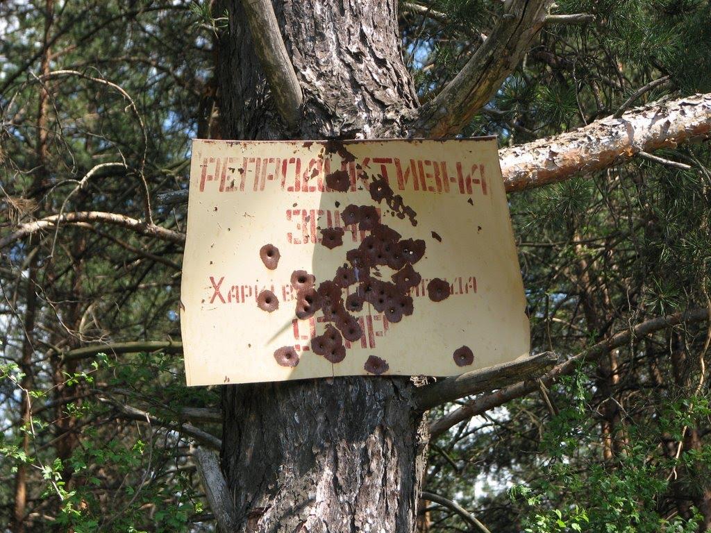 Безлюдівка з panoramio.com (ч.2) - Безлюдівка