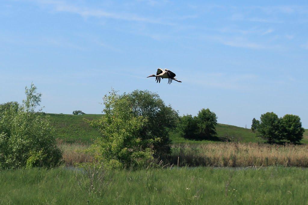 Зрайки з panoramio.com - Зрайки