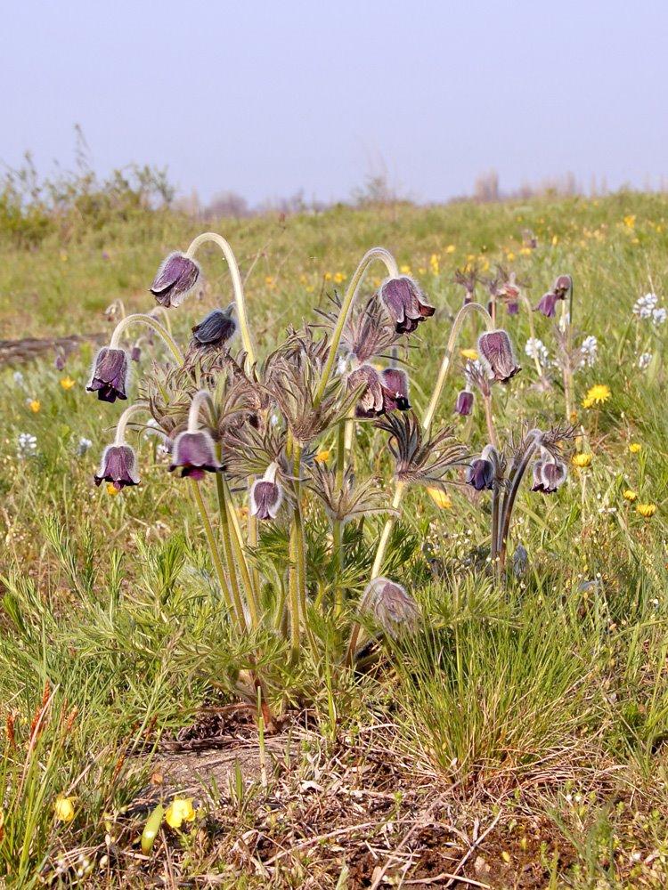 Мигія з panoramio.com - Мигія