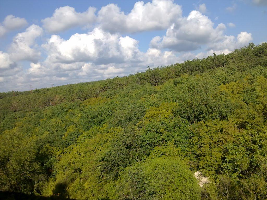 Севастополь з panoramio.com (ч.16) - Севастополь