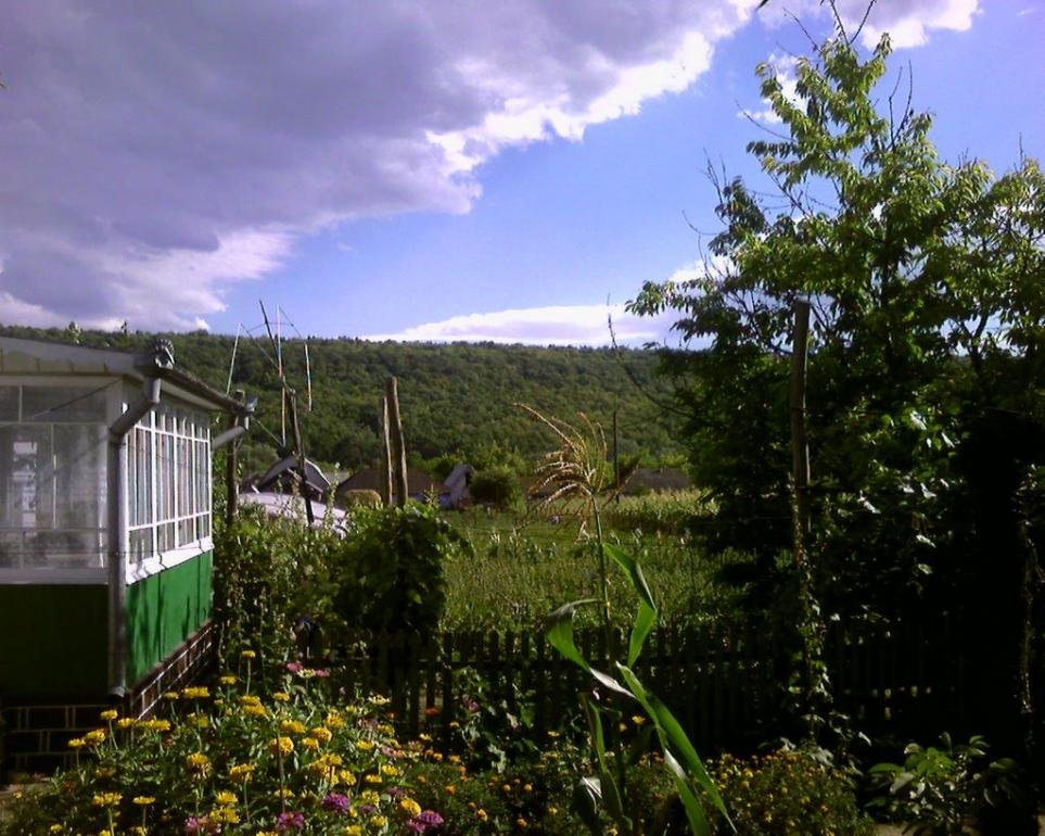 Велика Кісниця з panoramio.com - Велика Кісниця