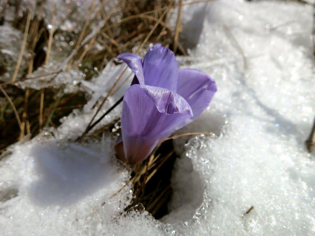 Перевальне з panoramio.com - Перевальне