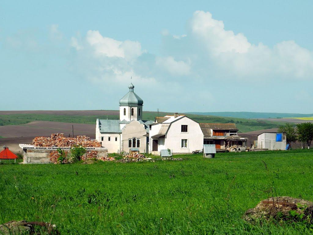 Садки з panoramio.com - Садки