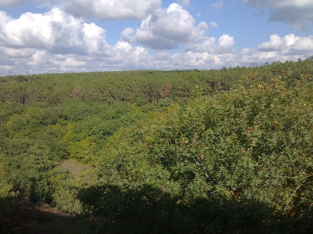 Севастополь з panoramio.com (ч.16) - Севастополь