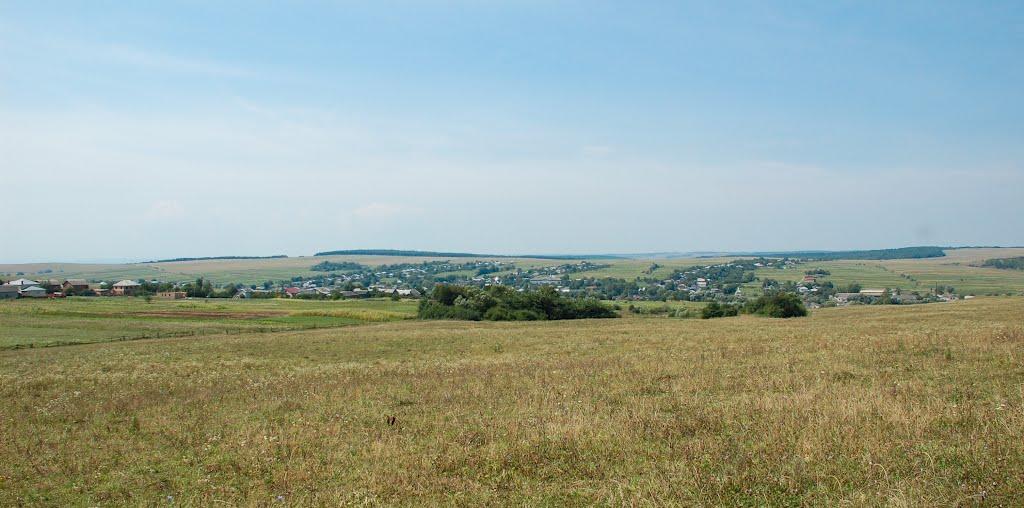 Вільшаниця з panoramio.com - Вільшаниця