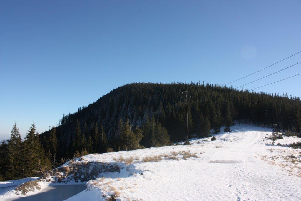 Пасічна з panoramio.com - Пасічна