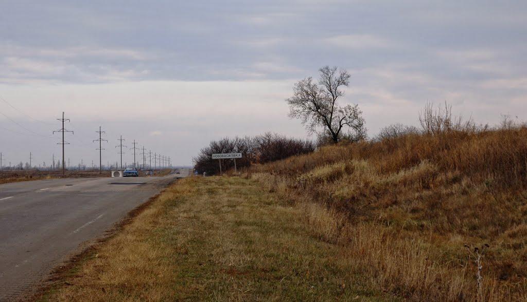 Нововасилівка з panoramio.com - Нововасилевка