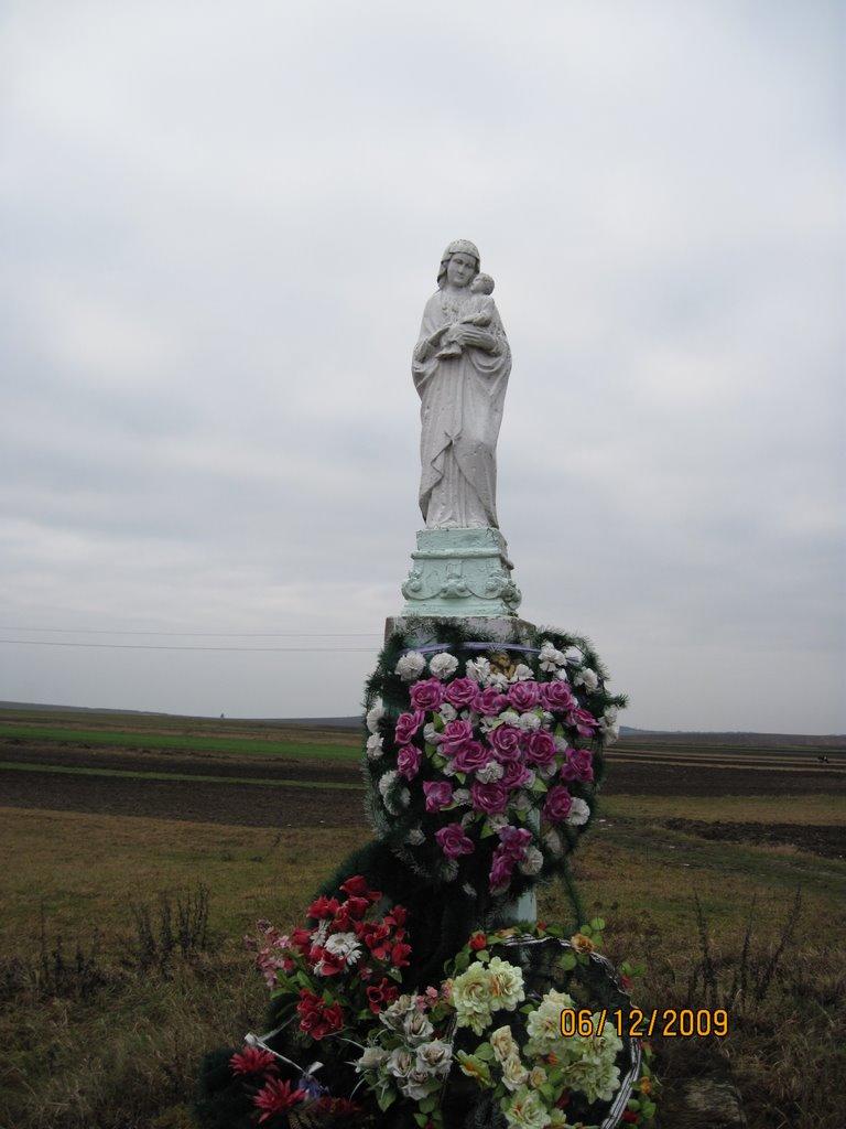 Сасів з panoramio.com - Сасів