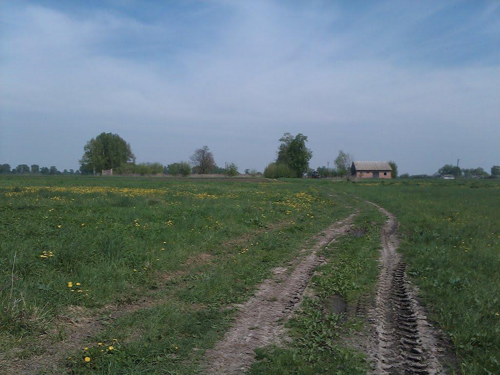 Вихвостів з panoramio.com - Вихвостів