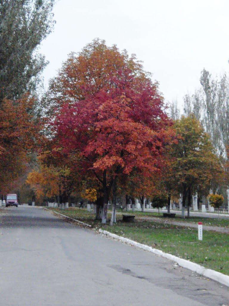 Пологи з panoramio.com - Пологи