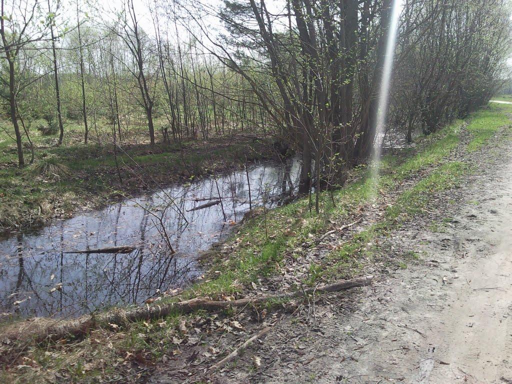 Муравище з panoramio.com - Муравище