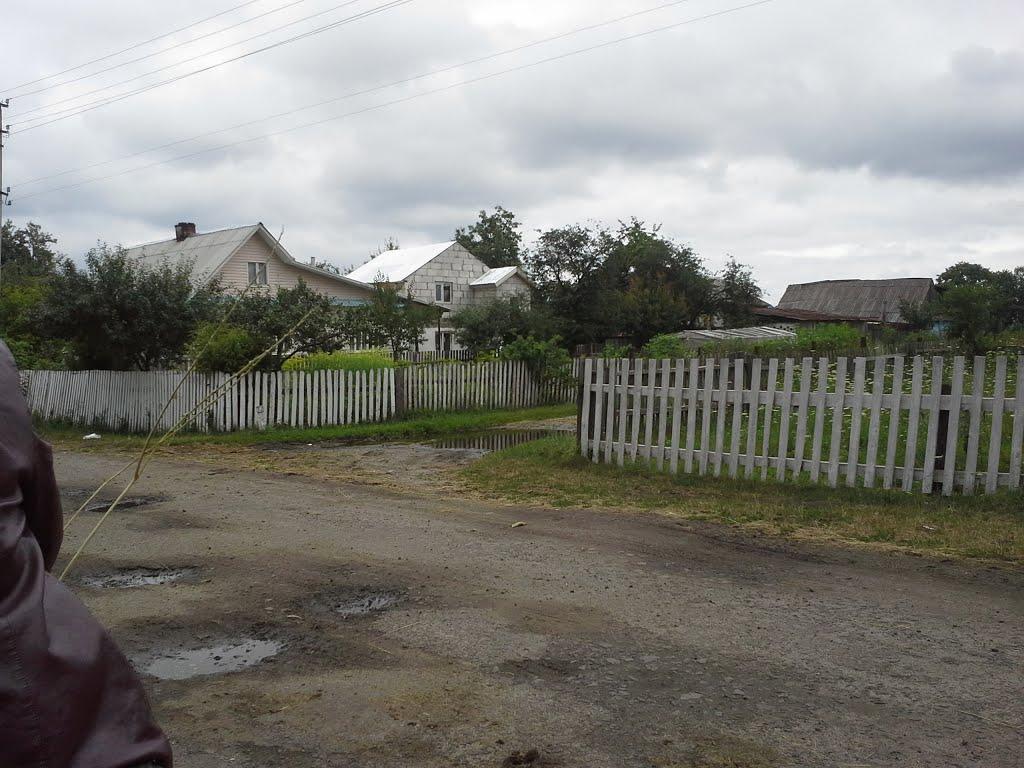 Сошники з panoramio.com - Сошники