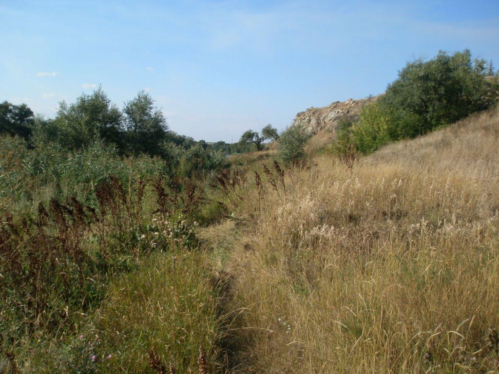 Синюхин Брід з panoramio.com - Синюхин Брід