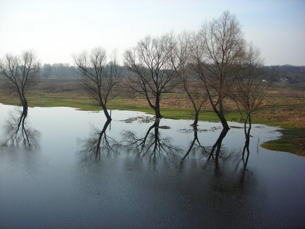 Медведівка з panoramio.com - Медведівка