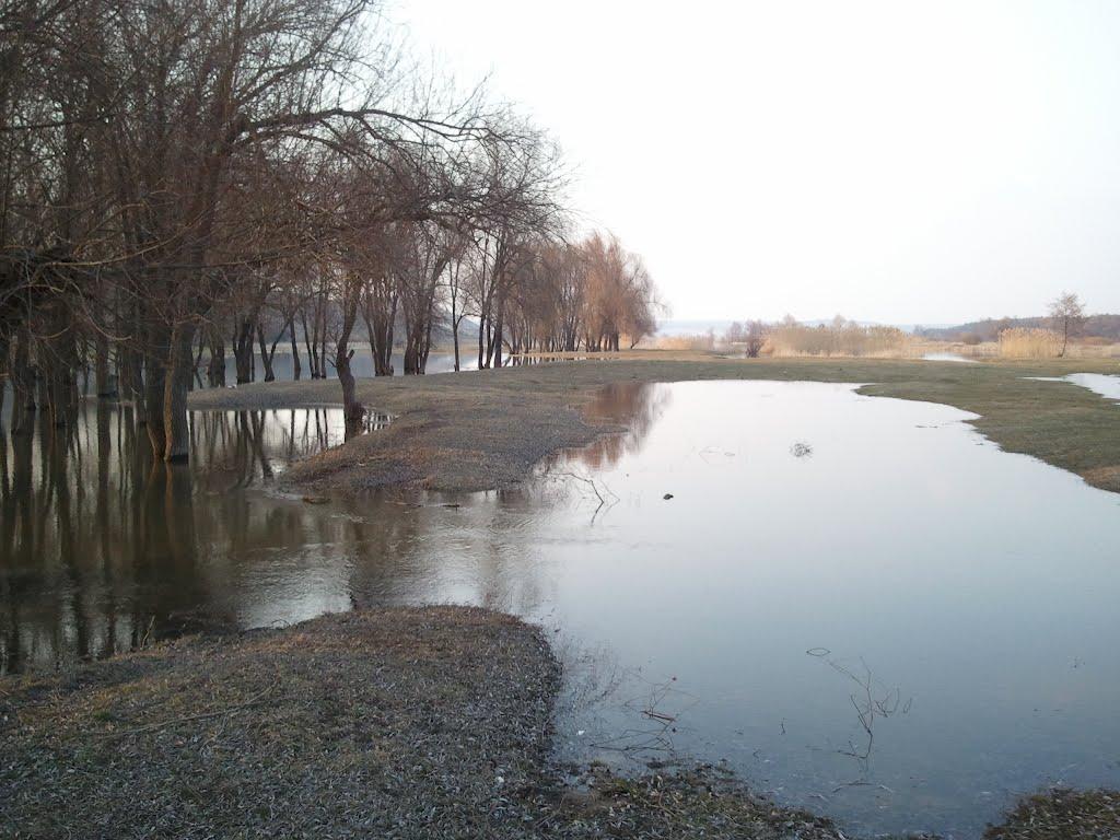 Куп'янськ з panoramio.com (ч.2) - Куп'янськ