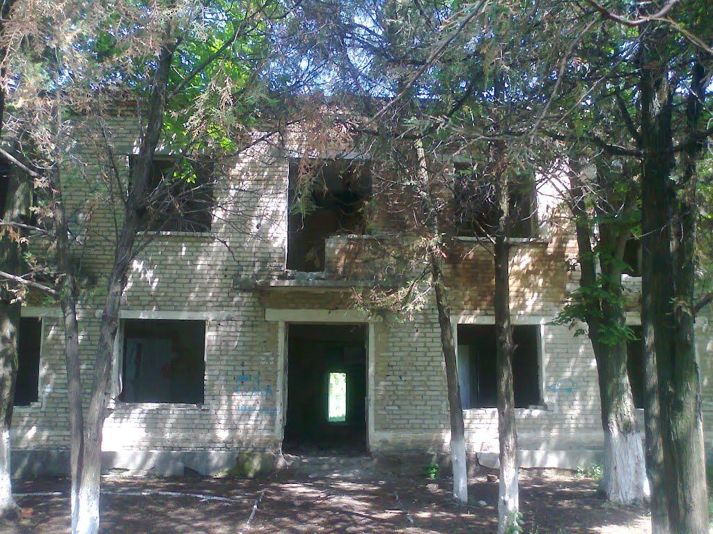 Новоганнівка з panoramio.com - Новоганнівка