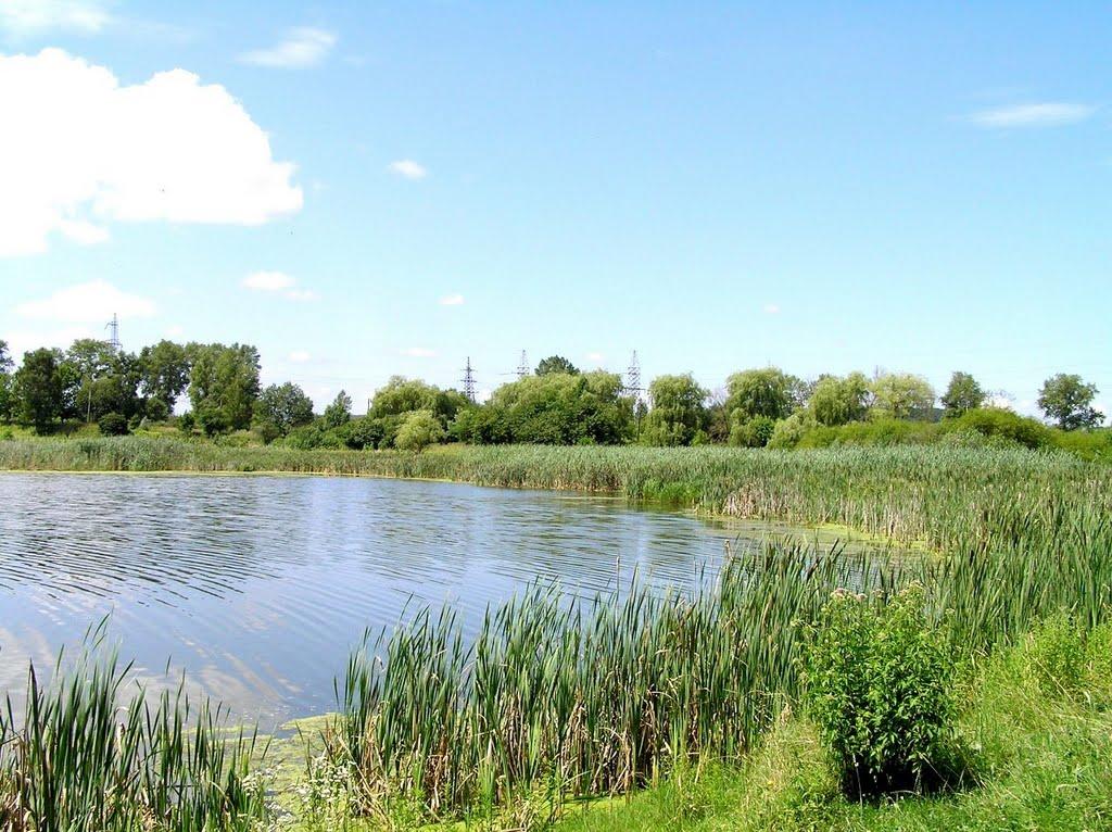 Новий Розділ з panoramio.com - Новий Розділ