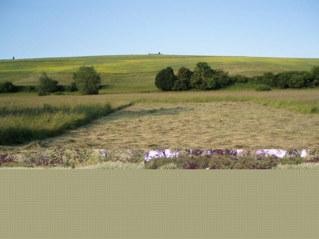 Дякове з panoramio.com - Дякове