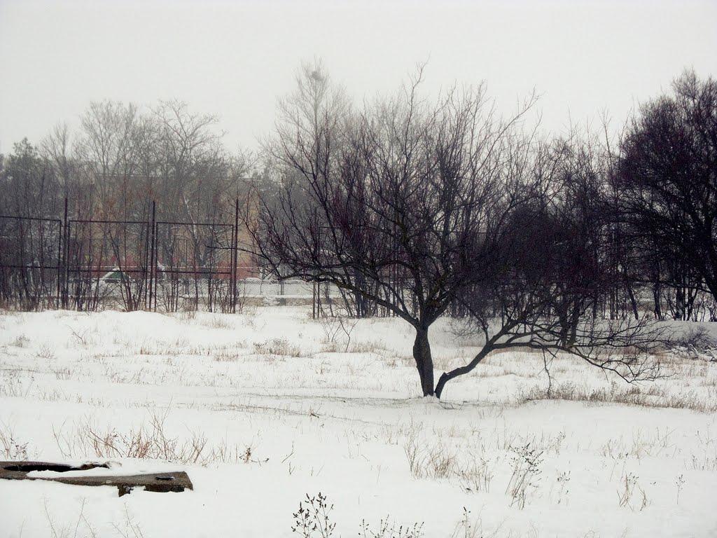 Шкільне з panoramio.com - Шкільне