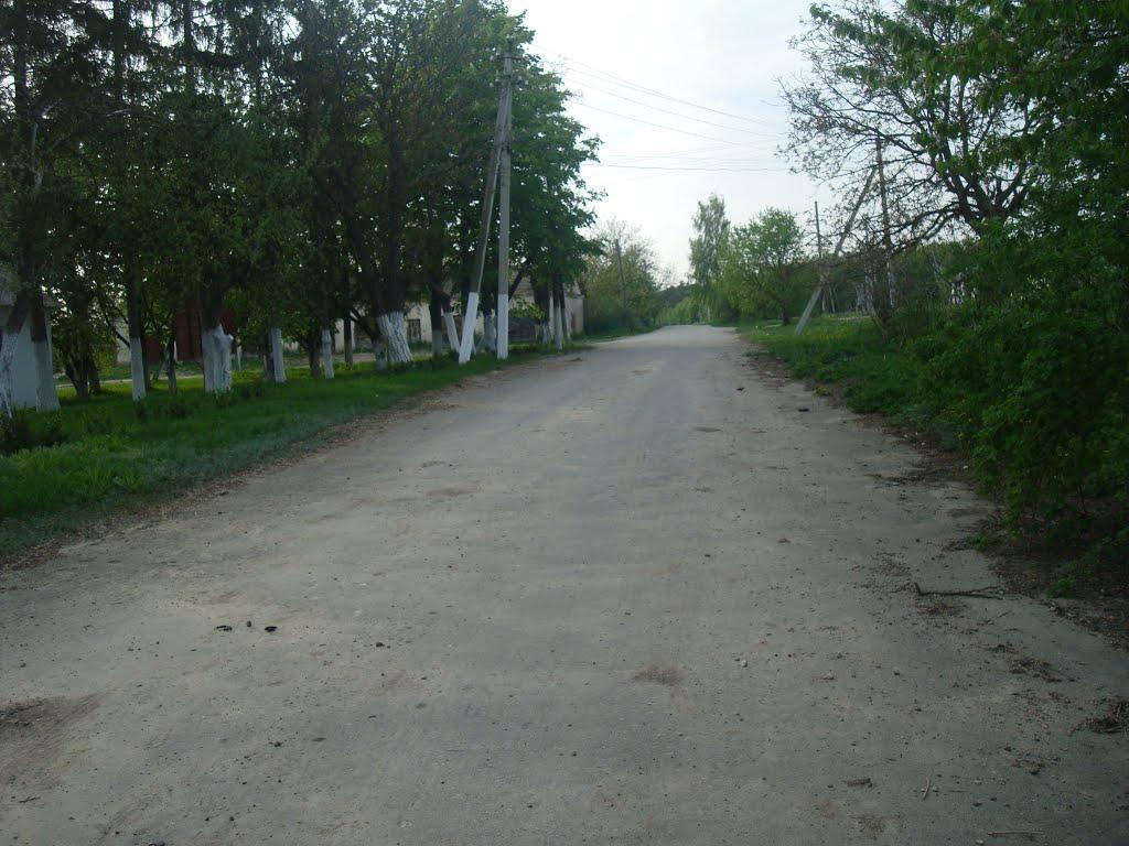 Вільховець з panoramio.com - Вільховець