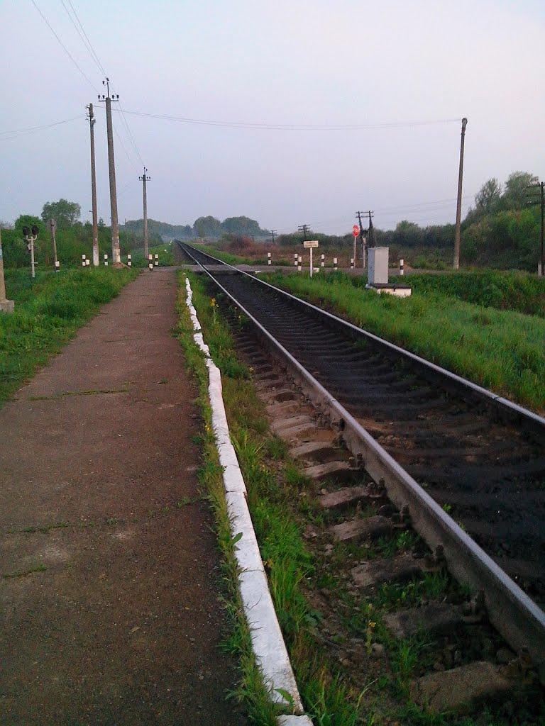 Борщів з panoramio.com - Борщів