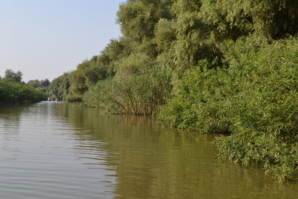 Кілія з panoramio.com (ч.2) - Килия