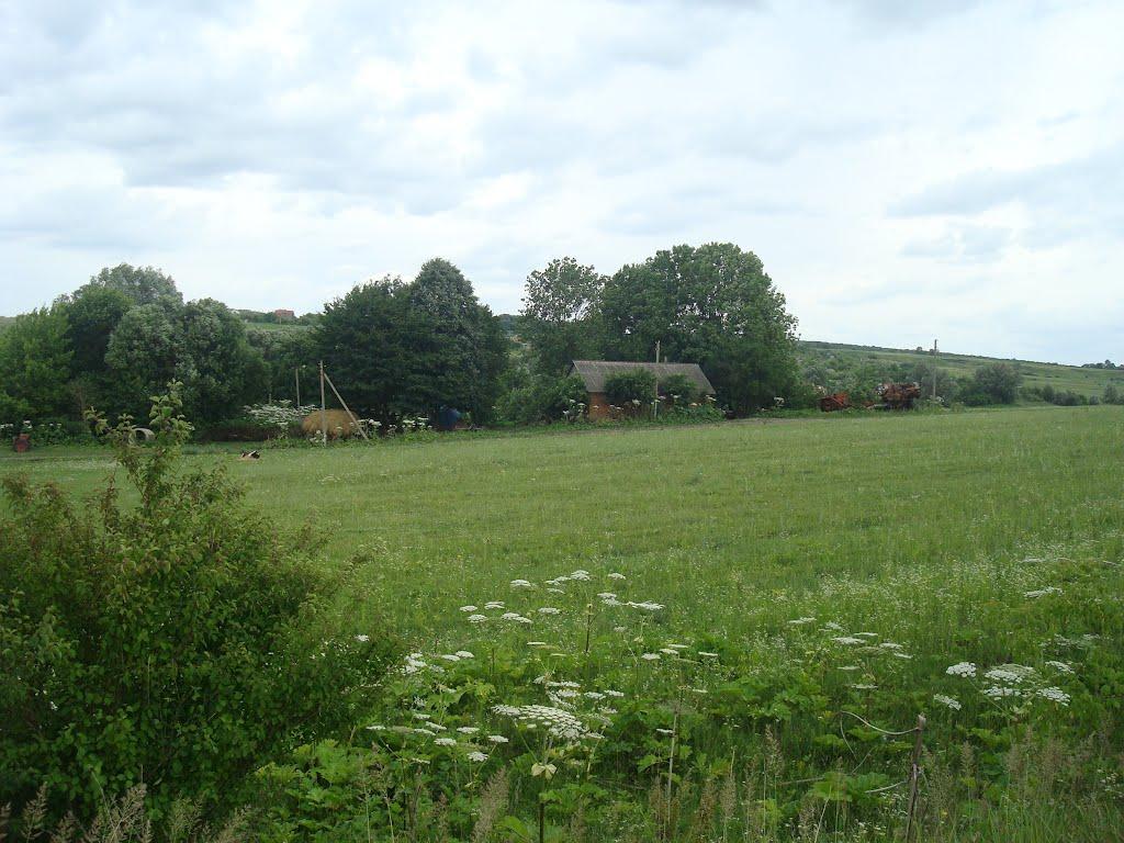 Іванківці з panoramio.com - Іванківці