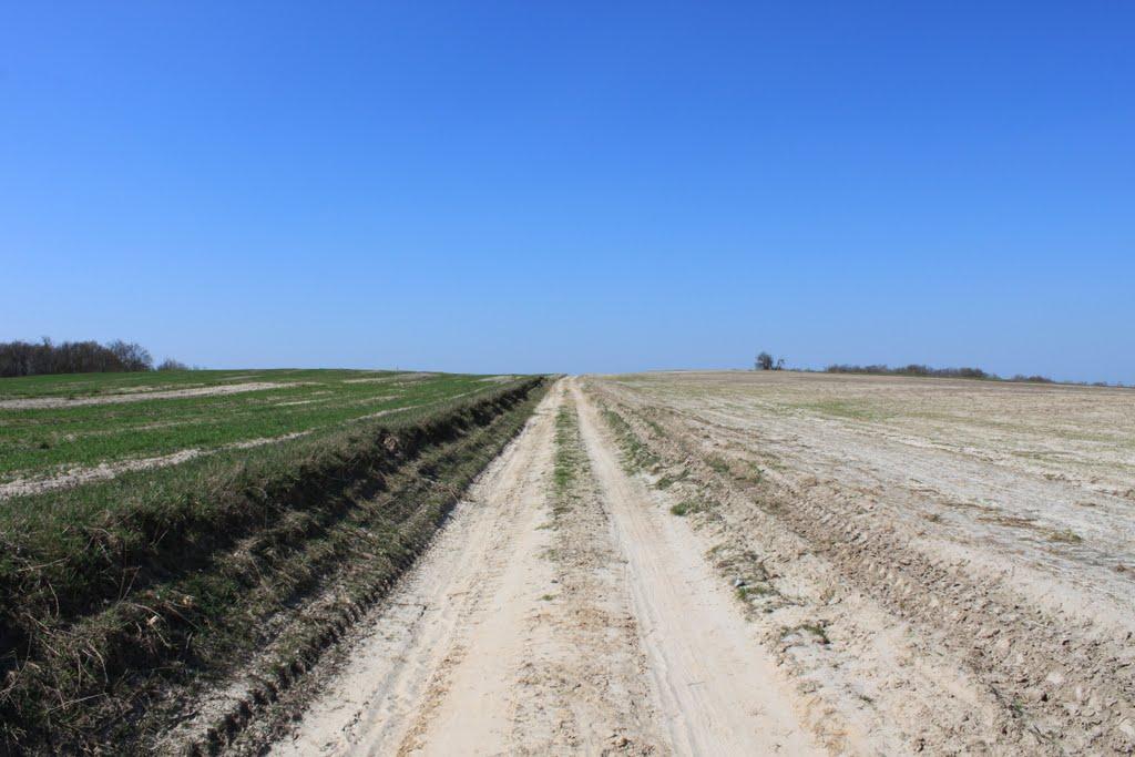 Бігунь з panoramio.com - Бігунь