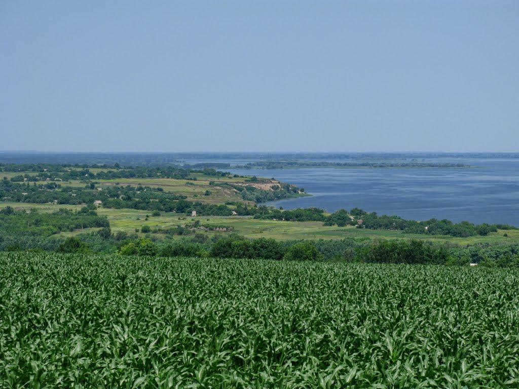 Заріччя з panoramio.com - Заріччя