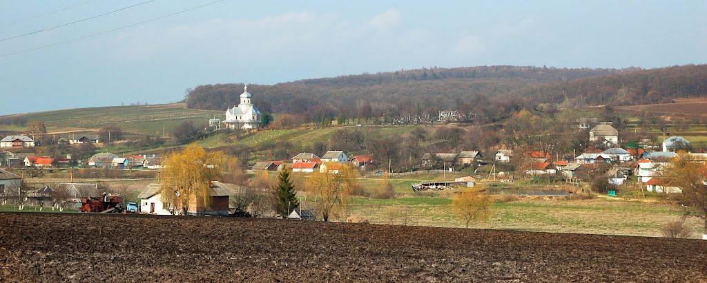 Калинівка з panoramio.com - Калинівка