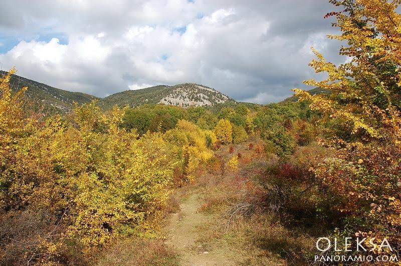 Колхозне з panoramio.com - Колхозне