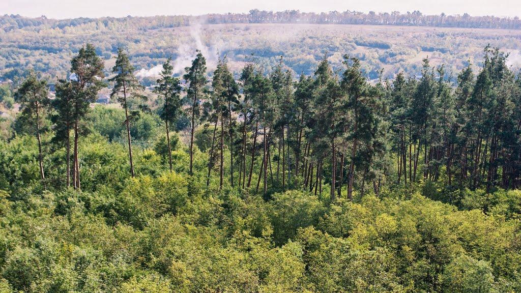 Кримка з panoramio.com - Кримка