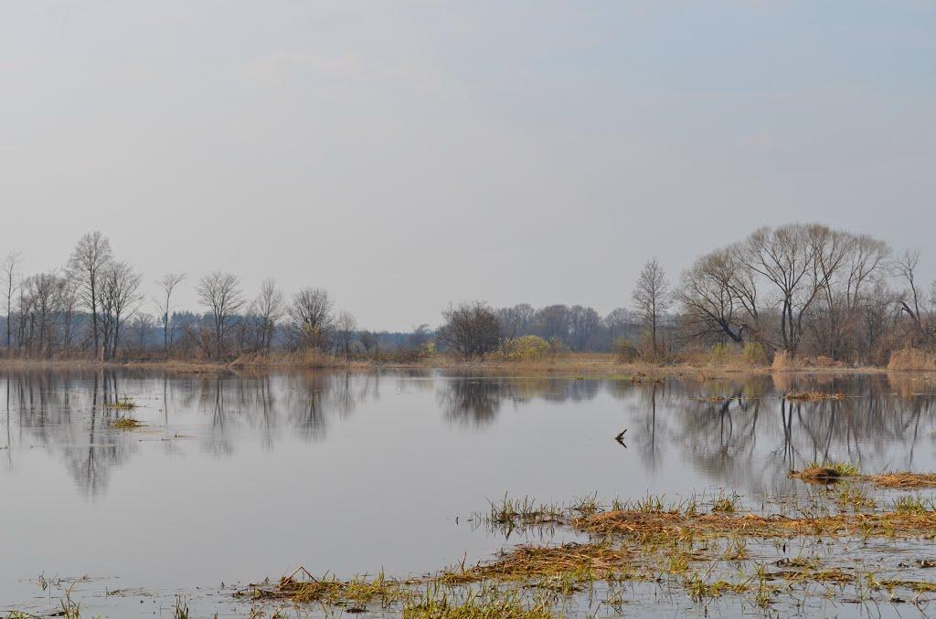 Раска з panoramio.com - Раска