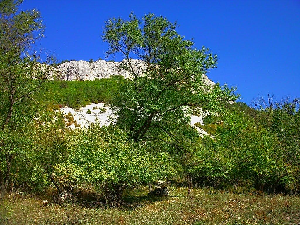 Залісне з panoramio.com (ч.2) - Залесное