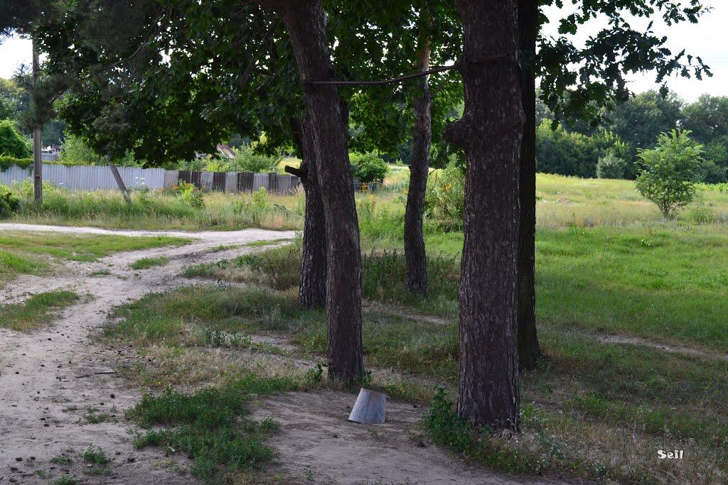 Бездрик з panoramio.com - Бездрик