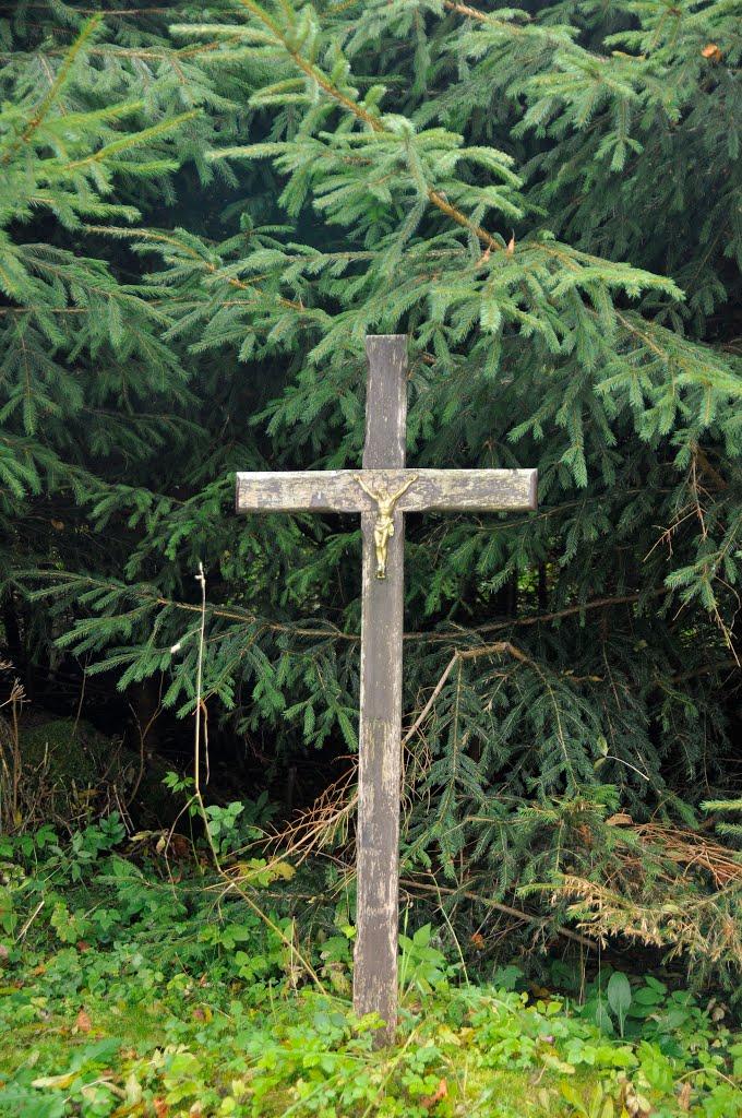 Боберка з panoramio.com - Боберка