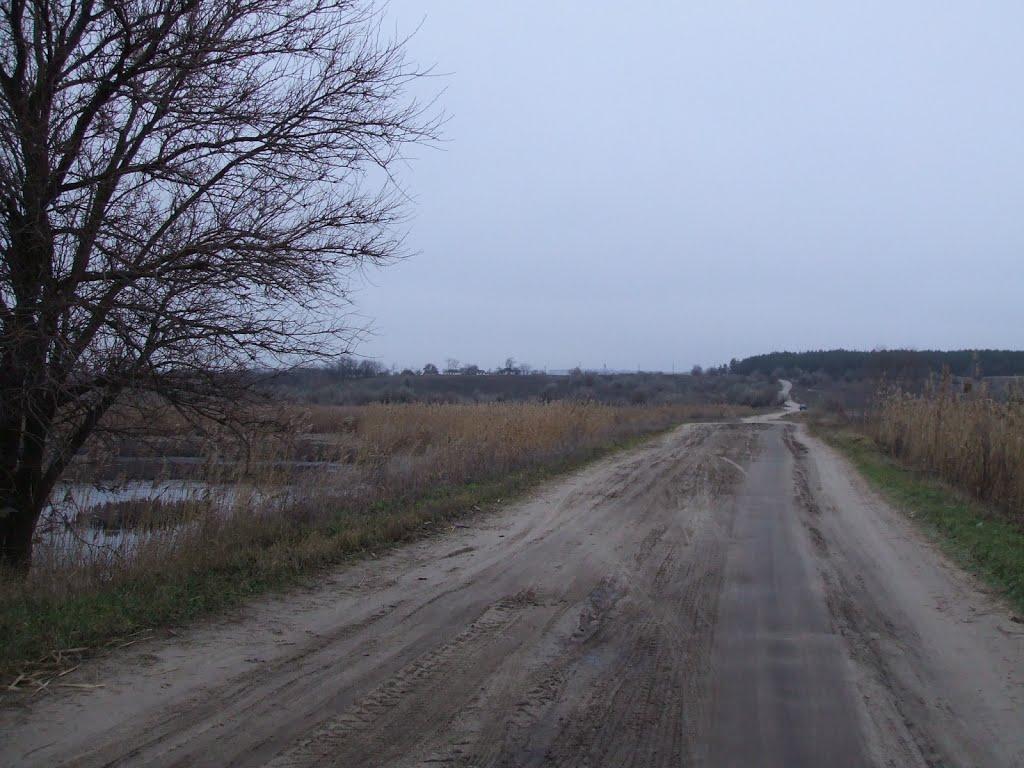 Куцеволівка з panoramio.com - Куцеволівка