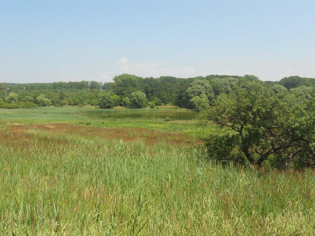 Новий Розділ з panoramio.com - Новий Розділ