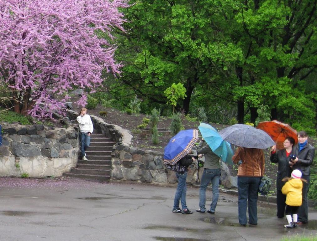 Кам'яне Поле з panoramio.com - Каменное Поле