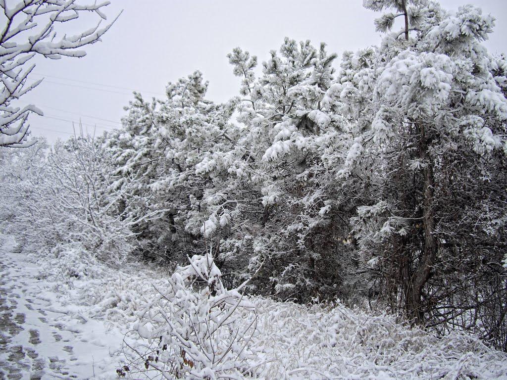 Сімферополь з panoramio.com (ч.13) - Сімферополь