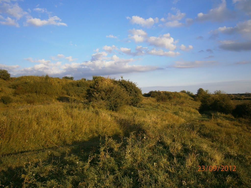 Берездівці з panoramio.com - Берездівці