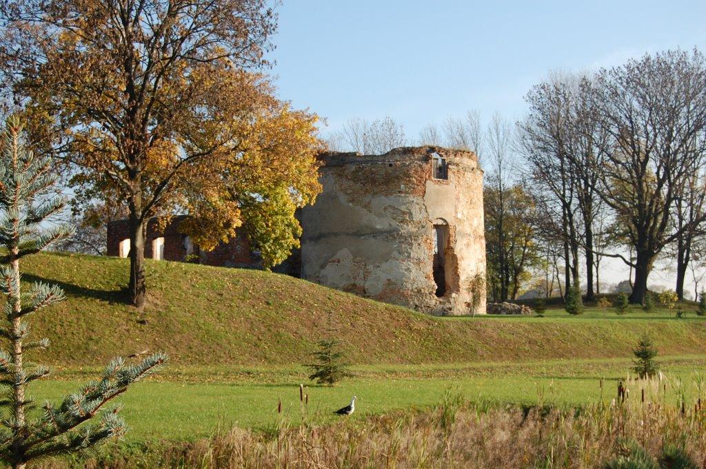 Трушевичі з panoramio.com - Трушевичі