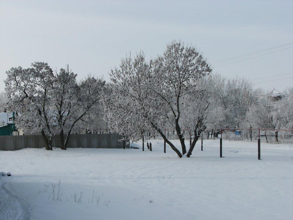 Литвинівка з panoramio.com - Литвинівка